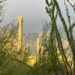 Tombstone & San Xavier, How the West was Won! - Final Thoughts