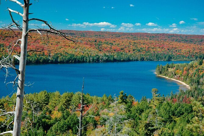 Toronto 4 Day Small Group Tour - Authentic Experiences and Practical Insights