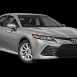 Toronto Airport YYZ Roundtrip Transfer to Toronto (Special Offer) - FAQ