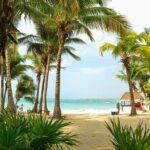 Tortugas & Cenotes Snorkel With Turtles Tour - Deep Dive: The Itinerary and Highlights