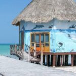 Tour 3 Islands in Holbox Premium Experience - Who is this tour best suited for?