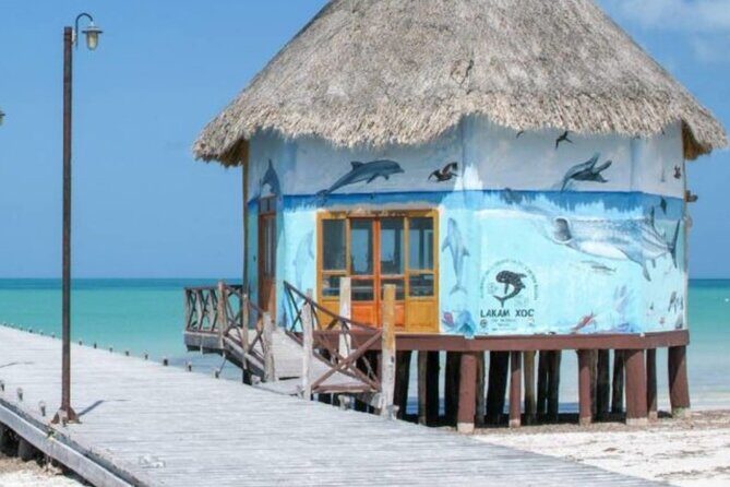 Tour 3 Islands in Holbox Premium Experience - Who is this tour best suited for?