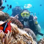 Tour 3 islands of Nha Trang - What to Expect from the Tour