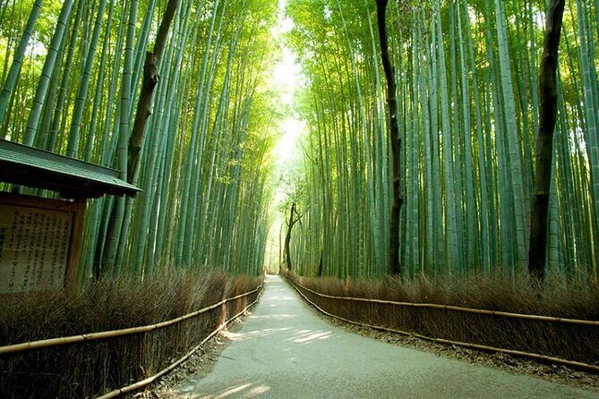Tour by car with a Kyoto native away off touristya local show you secret places - Who Will Love This Tour?