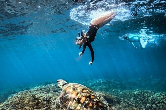 Tour Full Day Guided Huatulco Bays + Pickup + Refreshments + Gift !! - In-Depth Review of the Huatulco Bays Tour