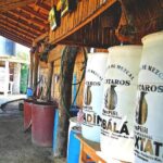 Tour Los Caminos del Mezcal Café and Pedal Loom Factory - FAQ