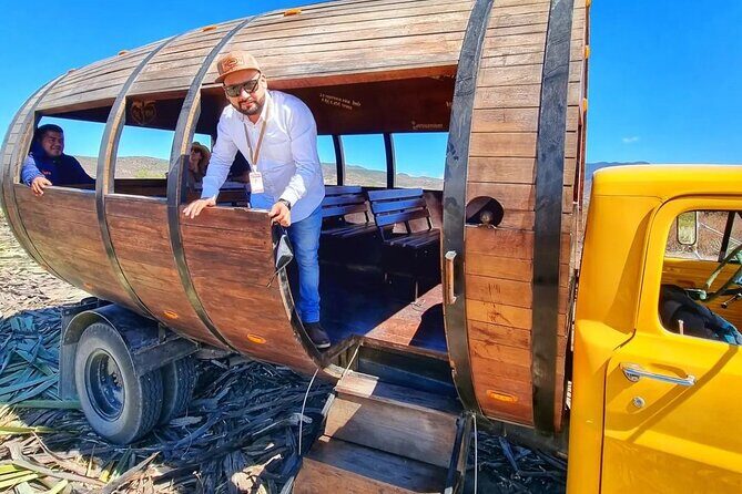 Tour Monte Albán, Hierve el agua, Teotitlán Del Valle and Mezcal - Who Will Love This Tour?