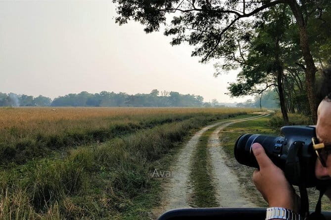 Tour of Pobitora Wildlife Sanctuary from Guwahati with Safari, Lunch and Guide - Final Thoughts: Is This Tour Worth It?
