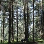 Tour of the Sierra Juárez, Ixtlán, Guelatao and Capulálpam - How the Tour Balances Education, Scenery, and Culture