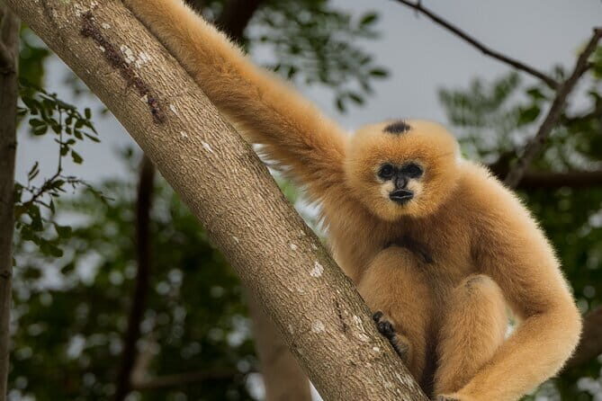 Tour of the Wildlife Rescue Center - How the Tour Is Structured