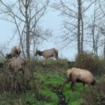 Tour of Warrenton - Who Will Enjoy This Tour?