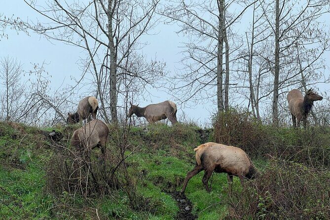Tour of Warrenton - Who Will Enjoy This Tour?