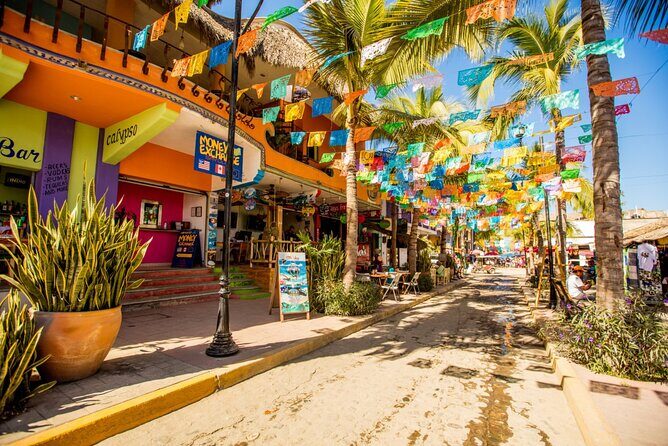 Tour to the Magical Town of Sayulita and San Pancho from Pto Vallarta - Who Should Book This Tour?