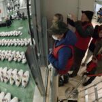 Toyosu Market Morning Tuna Auction and Tsukiji Food Tour with Licensed Guide - Who is this tour best suited for?