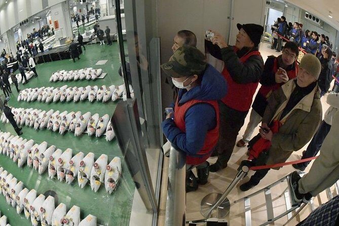 Toyosu Market Morning Tuna Auction and Tsukiji Food Tour with Licensed Guide - Who is this tour best suited for?