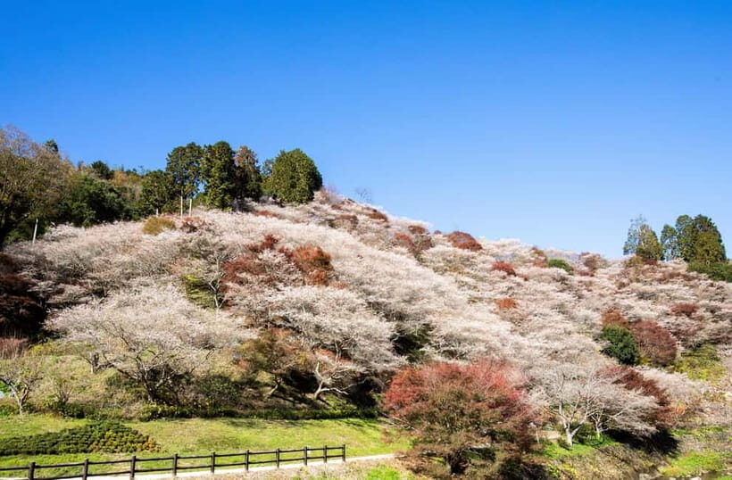 Toyota: Obara Washi Papermaking Experience Course - Exploring the Details of the Toyota Obara Washi Papermaking Experience Course