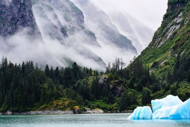 Tracy Arm Fjord and Glacier Explorer from Juneau - The Experience and Its Value