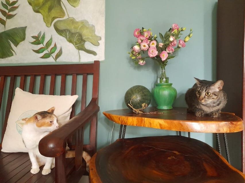 Traditional Cooking Class Local Home Green Fishsauce Kitchen - An In-Depth Look at the Itinerary and Experience