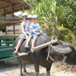 Traditional Cooking Class with Basket Boat Ride and market Tour - Who Will Get the Most Out of This Tour?