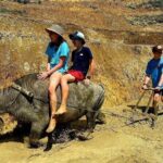 Transfer to or from Sapa in a Sleeper Bus from Hanoi - Why This Transfer Fits Certain Travelers Best