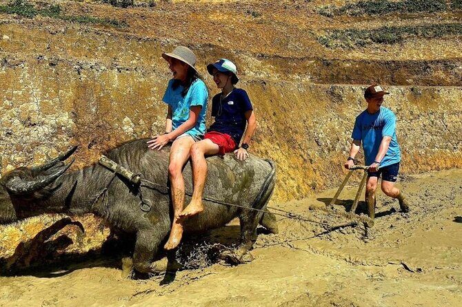 Transfer to or from Sapa in a Sleeper Bus from Hanoi - Why This Transfer Fits Certain Travelers Best