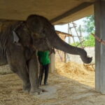 Travel to Nepal 10 days to explore the Culture and Best Views - Authentic Experiences and Practical Details