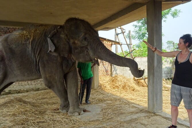 Travel to Nepal 10 days to explore the Culture and Best Views - Authentic Experiences and Practical Details