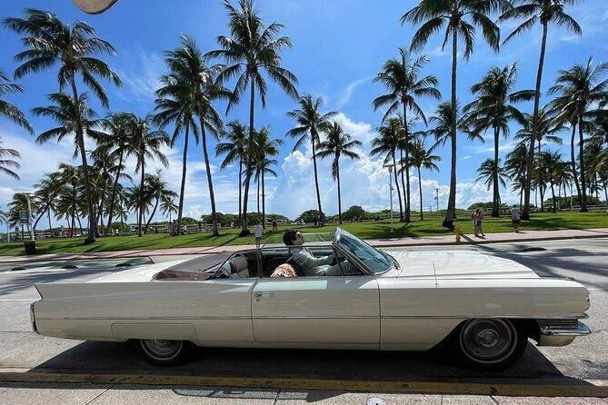 Traveler's Guide to Experience Miami 6-hour Tour - Authentic Insights from Travelers