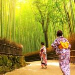 Traversing Kyoto's Scenic West - Arashiyama to Kinkakuji - Lunch and Souvenir Shopping