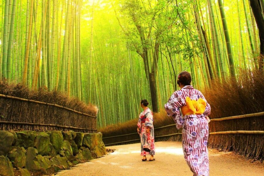 Traversing Kyoto's Scenic West - Arashiyama to Kinkakuji - Lunch and Souvenir Shopping