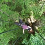 Tree Canopy Climbing on Lopez Island - Why This Tour Offers Great Value