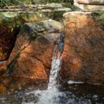 Trek Nui Chua Experience 2D1N, Night in the Jungle - Vinh Hy Bay - Practical Considerations & Value