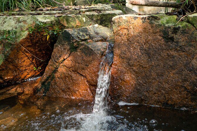 Trek Nui Chua Experience 2D1N, Night in the Jungle - Vinh Hy Bay - Practical Considerations & Value