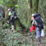 Trek On Langbian Mountain - What Makes This Tour Stand Out?