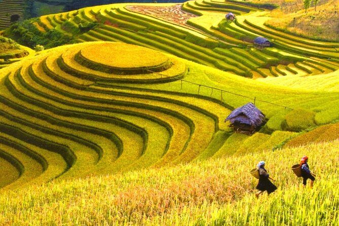 Trekking In Mu Cang Chai Tour 4 Days - A Close Look at the 4-Day Mu Cang Chai Trekking Tour