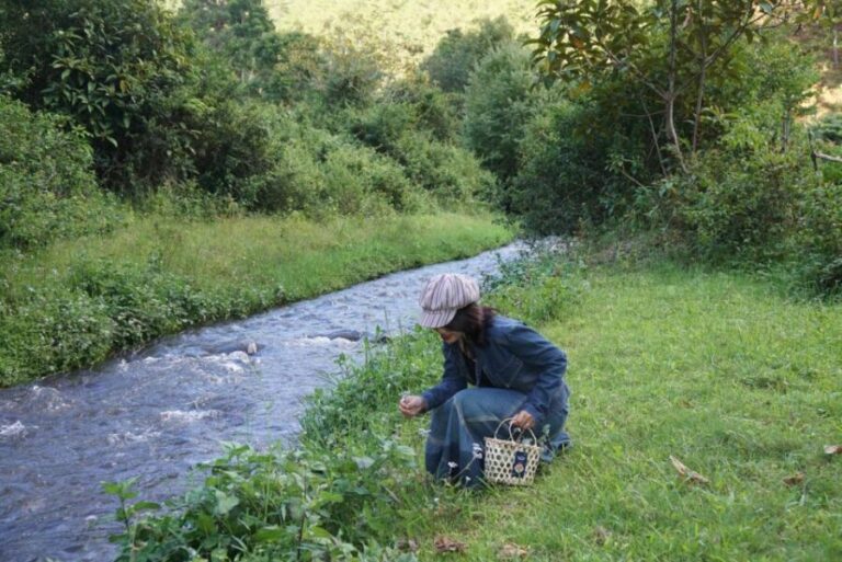 Trekking to Hidden Waterfall & Sturgeon Farm for dog-lovers - Practical Details & Tips