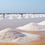 Trekking Tour Nha Trang-Vuongland Travel - The Value of This Tour