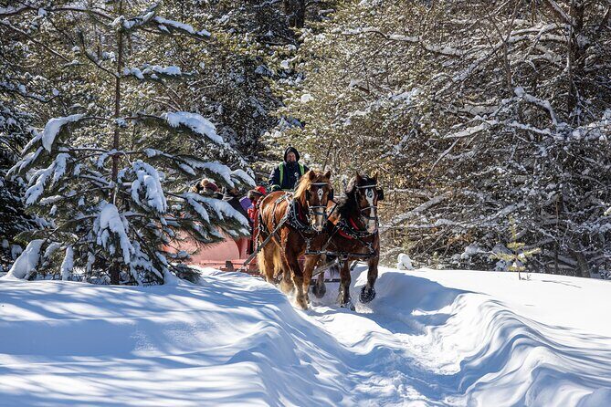Tremblant Sleighride - Practical Details and Tips