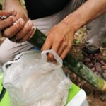 Tribal Cooking Class in Luang Prabang Forest and visit - The Practical Details