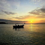 Trincomalee : Whale & dolphin watching +pigeon island tour - Who Should Consider This Tour?