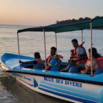 Trincomalee: Whales & Dolphin Watching Tours - Practical Tips for Your Trip