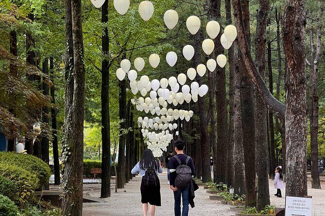 Trip to Nami Island with Petite France & Italian Village, Garden of Morning Calm - What Makes Nami Island Special?