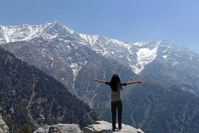 Triund Trek with Manu Adventures India - An In-Depth Look at the Triund Trek Experience