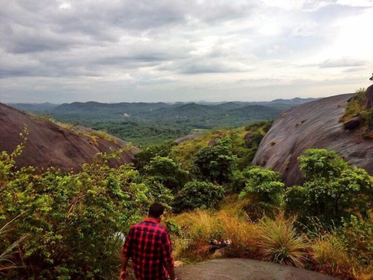 Trivandrum: Jatayu Nature Park & Varkala Beach Private Tour - Why This Tour Offers Great Value