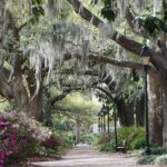 Trivia Tour - Who Should Take This Tour?