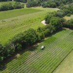 Trolley Tour in Wadmalaw Island of South Carolina - Final Thoughts: Who Will Love This Tour?