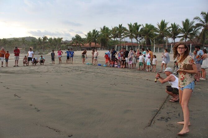Troncones, Manzanillo Bay and Majahua Beach Tour - Practical Tips for Your Trip