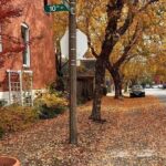 True Crime Walking Tour in Soulard Neighborhood - An In-Depth Look at the Experience