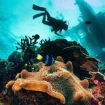 Try and Discover scuba diving - Key Points