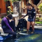 Try Diving in Nusa Lembongan - Penida. For beginners (with 2 ocean dives) - Who Will Love This Tour?